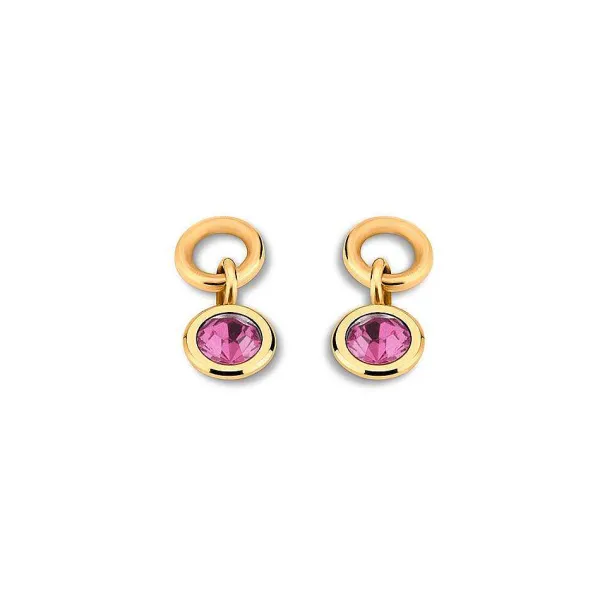 Oorbellen>Melano Jewelery Melano Friends Beau Oorbel Hangers