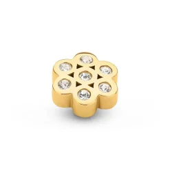 Steentjes><noscript><img width=
