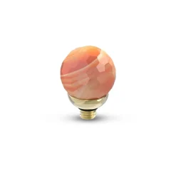 Steentjes><noscript><img width=