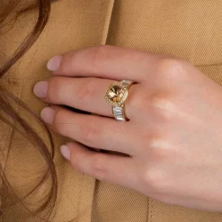 Ringen><noscript><img width=